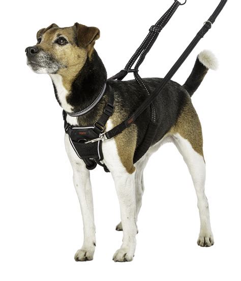 halti no pull harness small.